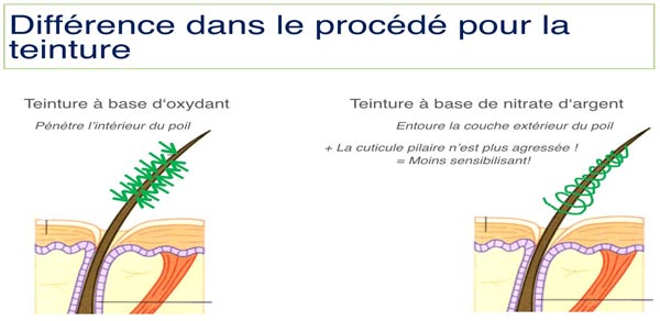 Différence dans le procédé pour la teinture des cils, par Carole Institut à Talmont Saint Hialaire